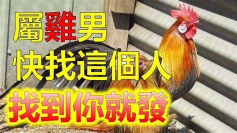 屬雞男屬馬女|屬馬女與不同生肖男的生肖配對